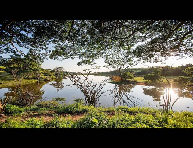 2HA VACANT LAND FOR SALE IN FAIRVIEW ESTATES